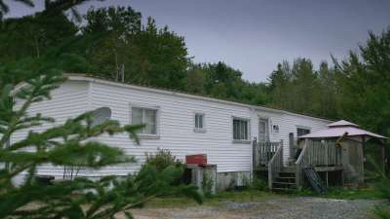 These Woods Are Haunted — Épisode 2