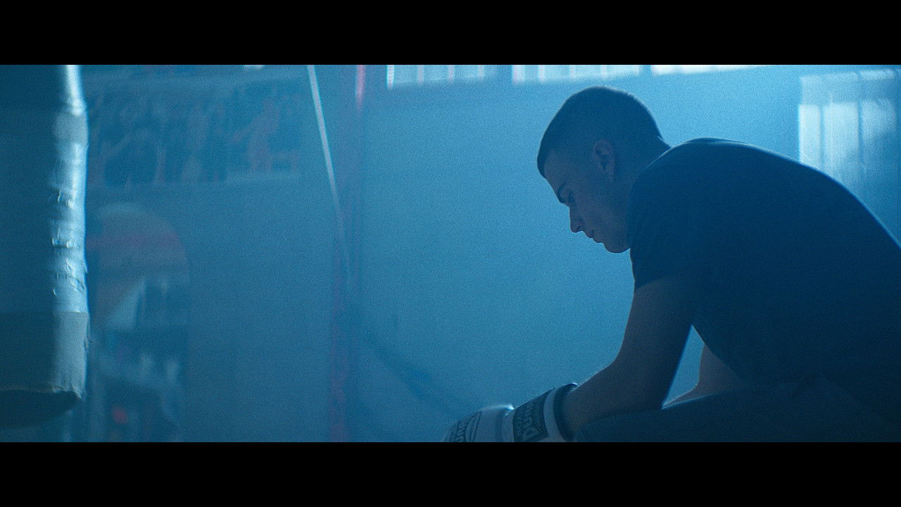 The Scottish Boy backdrop