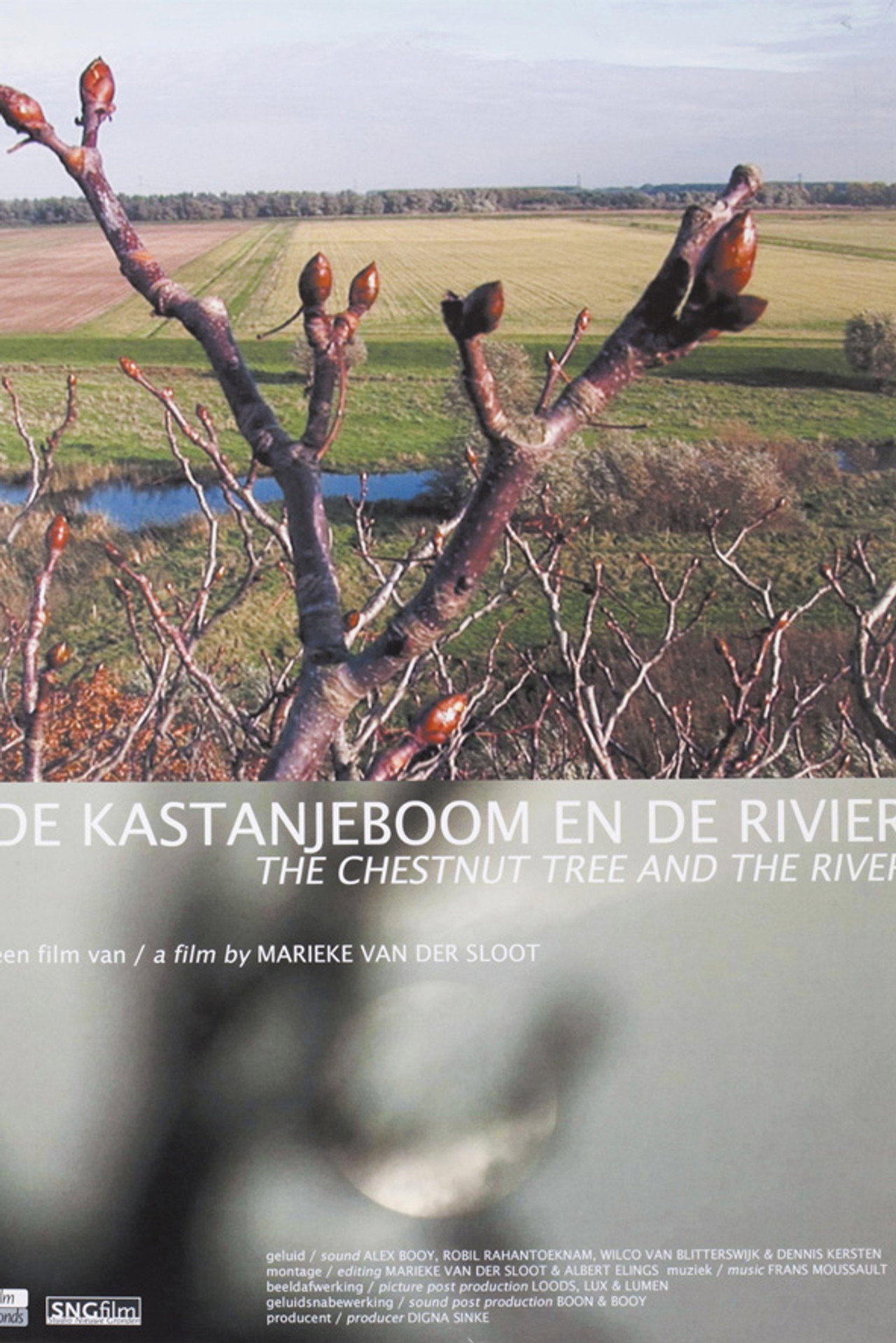 De kastanjeboom en de rivier