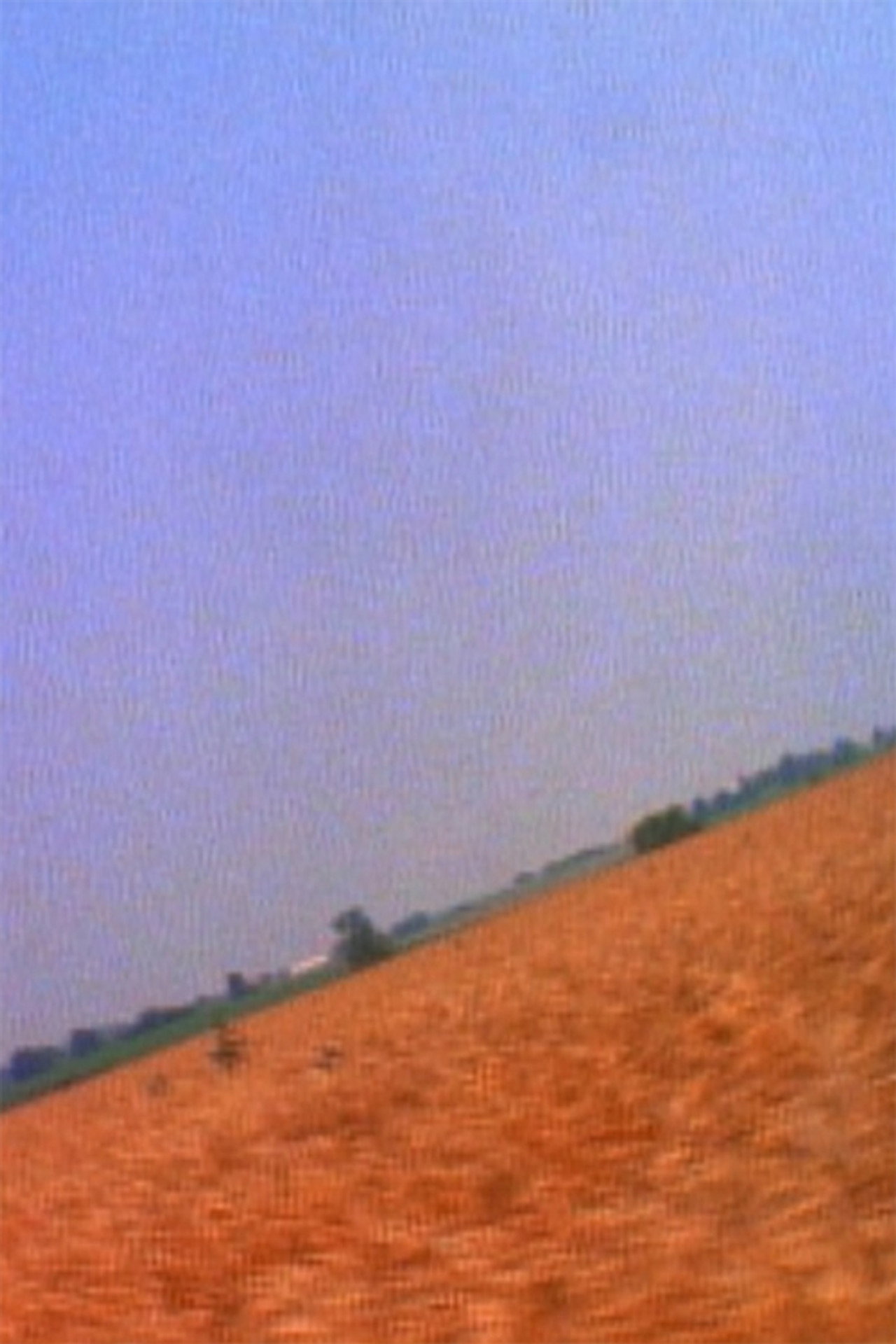 Crummy Little Life filmaffisch