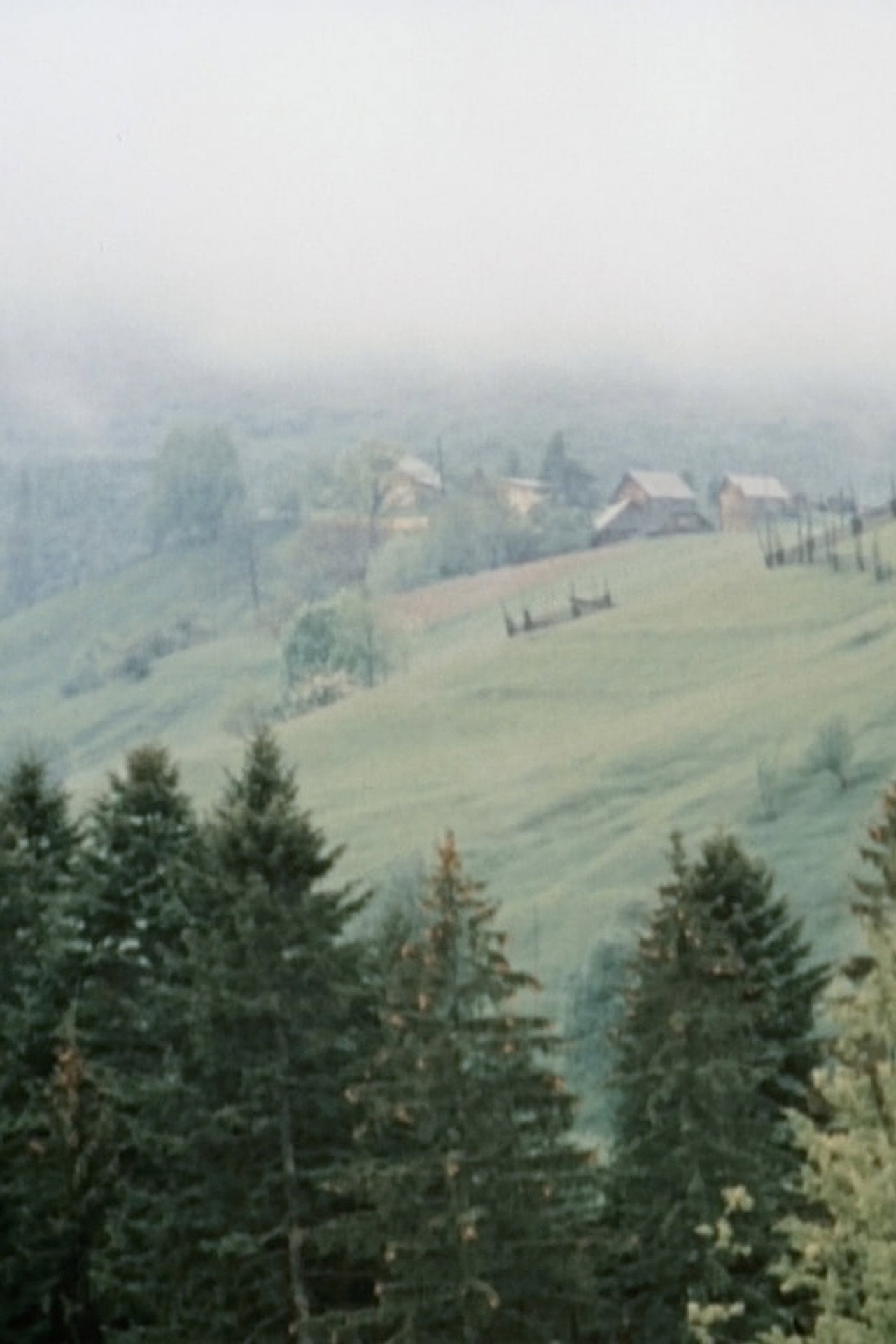 I See You, Bukovina