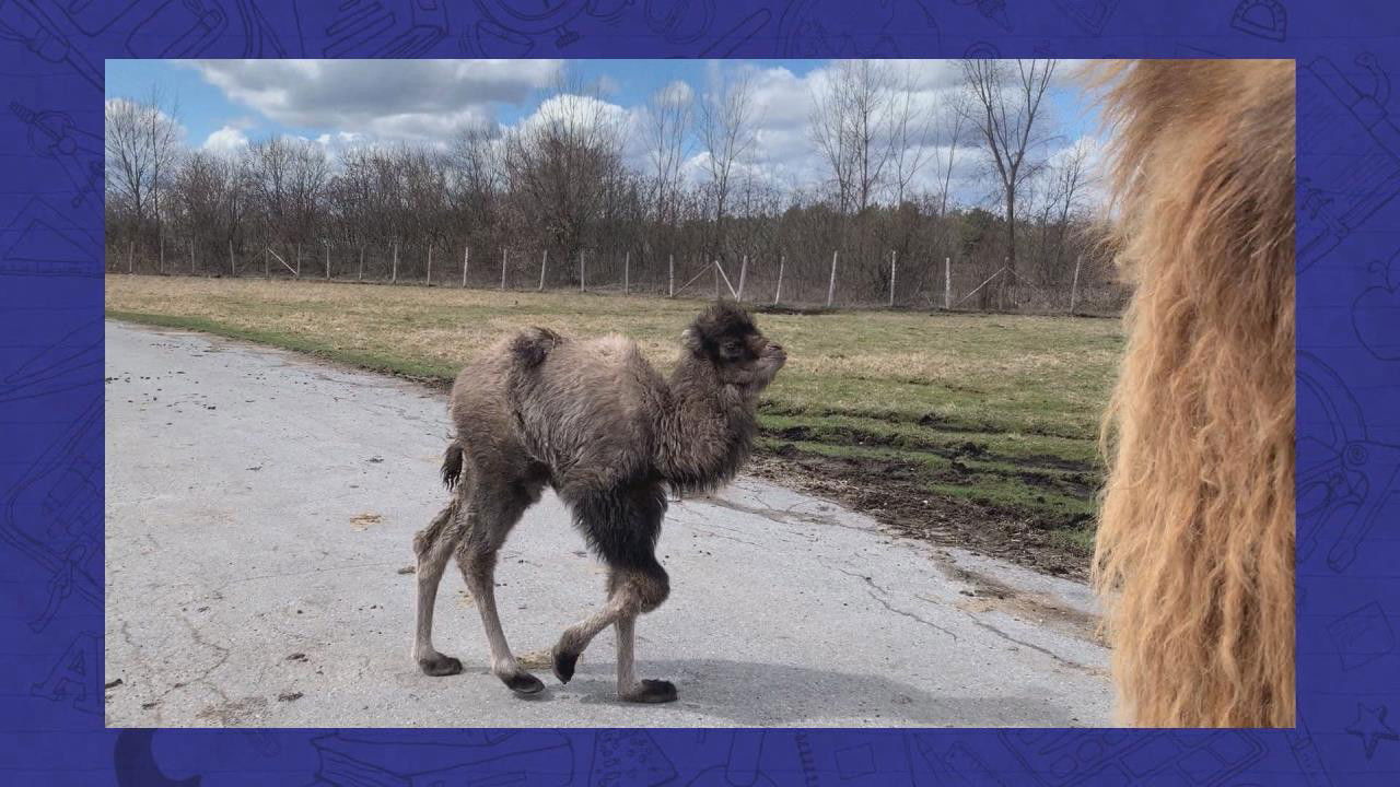 L'école à la maison — Épisode 23