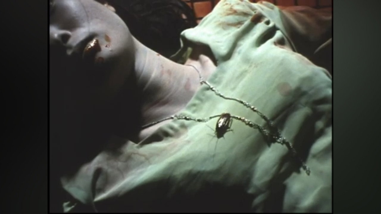 The Rotting Woman still 2