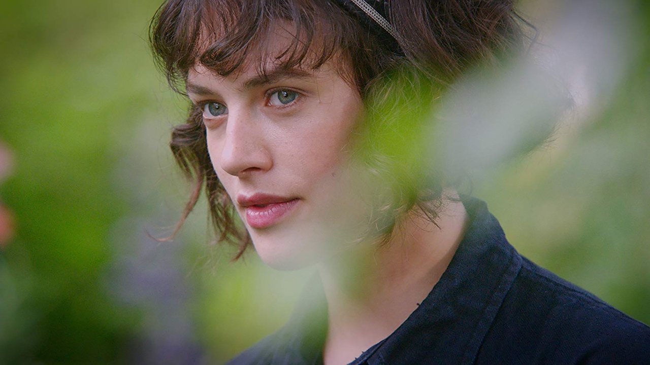 This Beautiful Fantastic (2016)