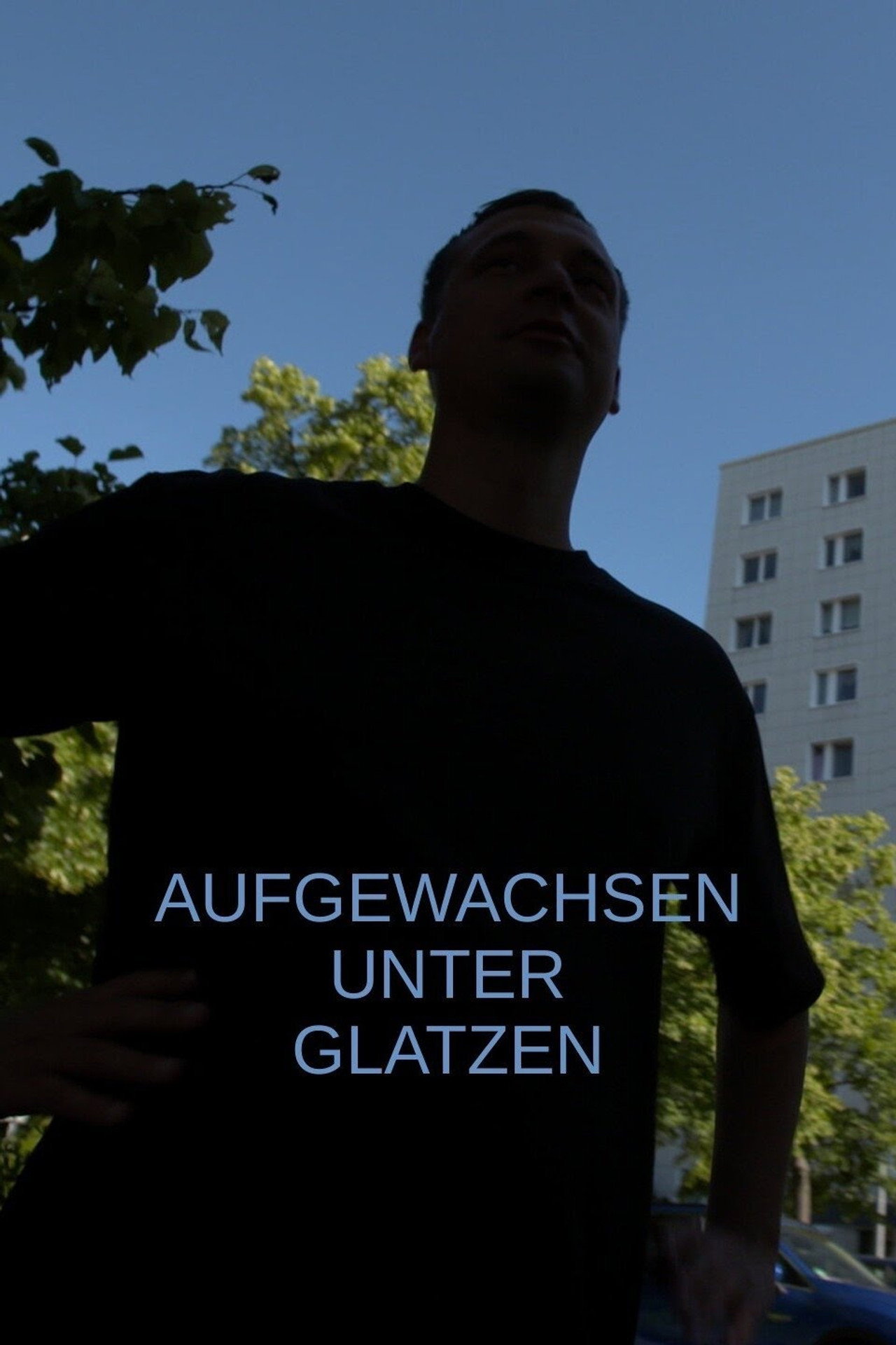 Aufgewachsen unter Glatzen poster