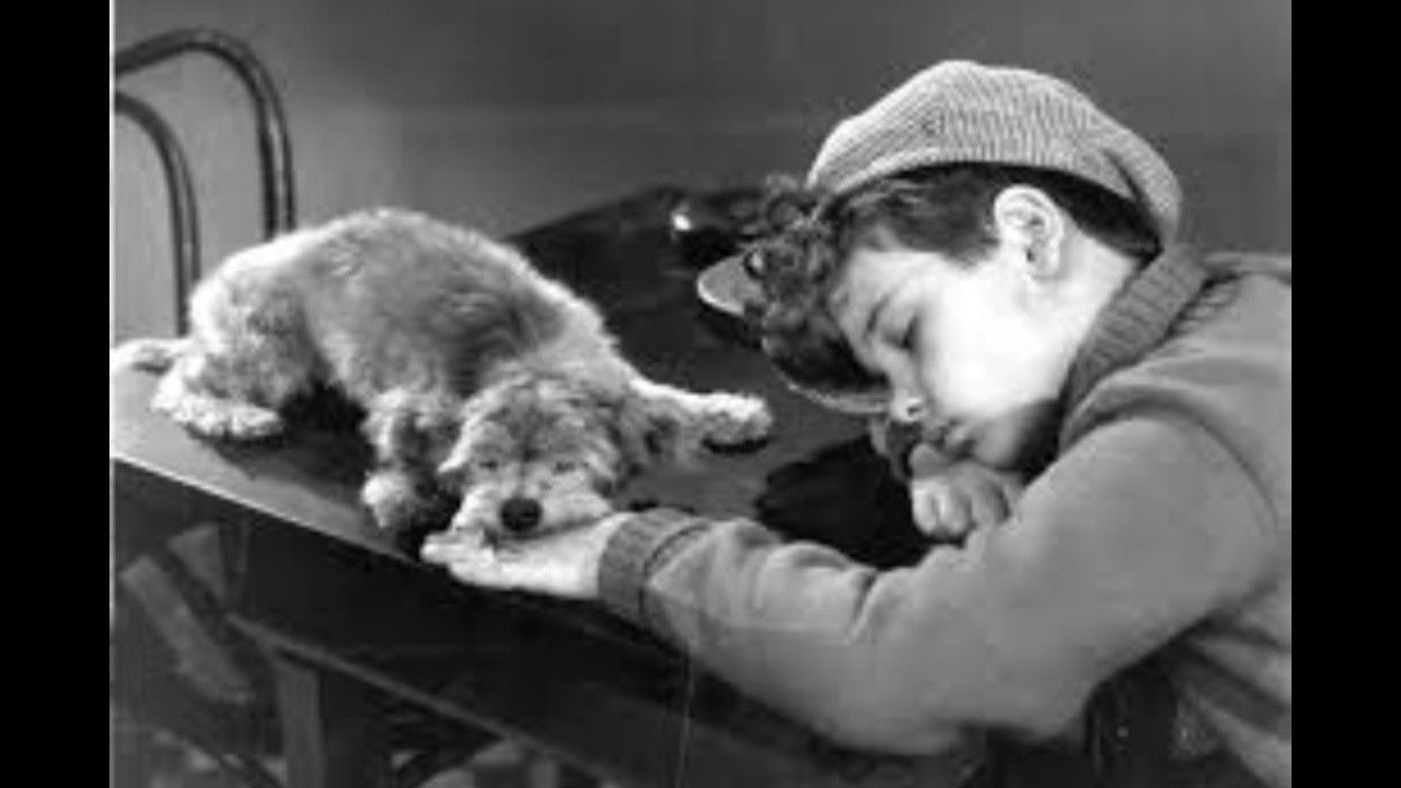 Das Vermächtnis (1946) trailer