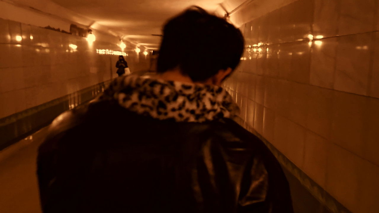 Experiment 3120 Backdrop