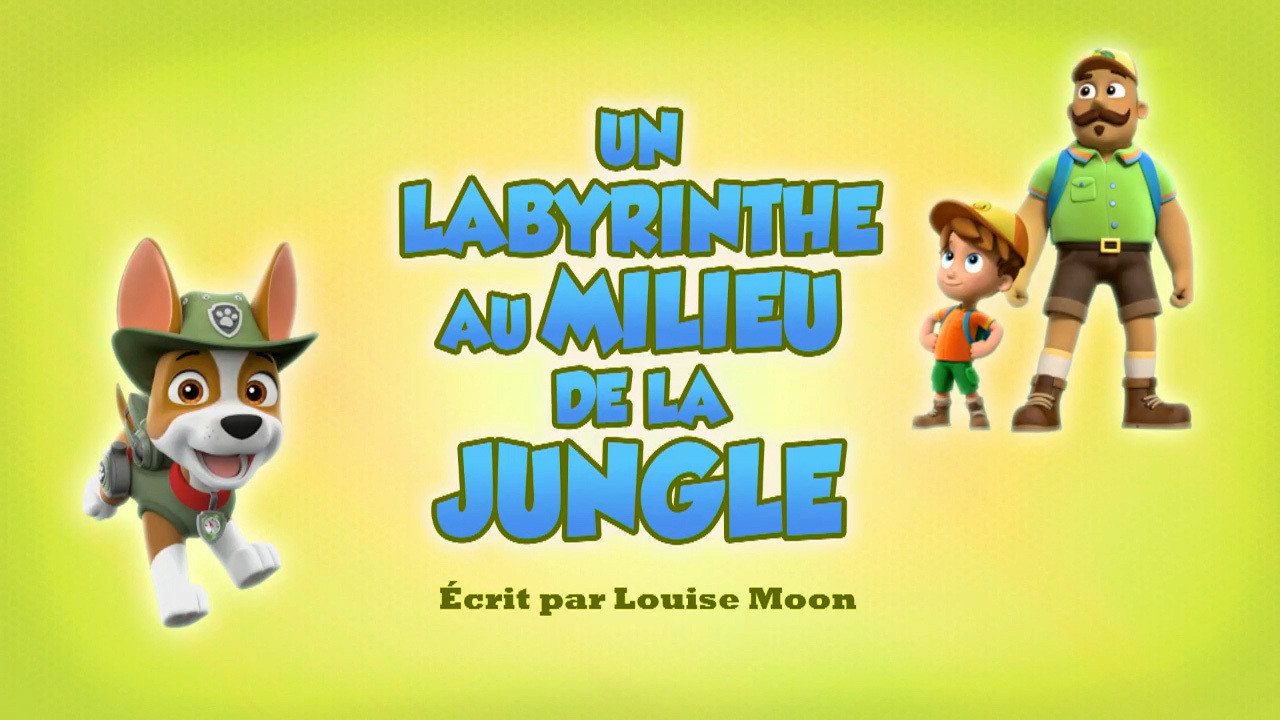 Un Labyrinthe au milieu de la jungle