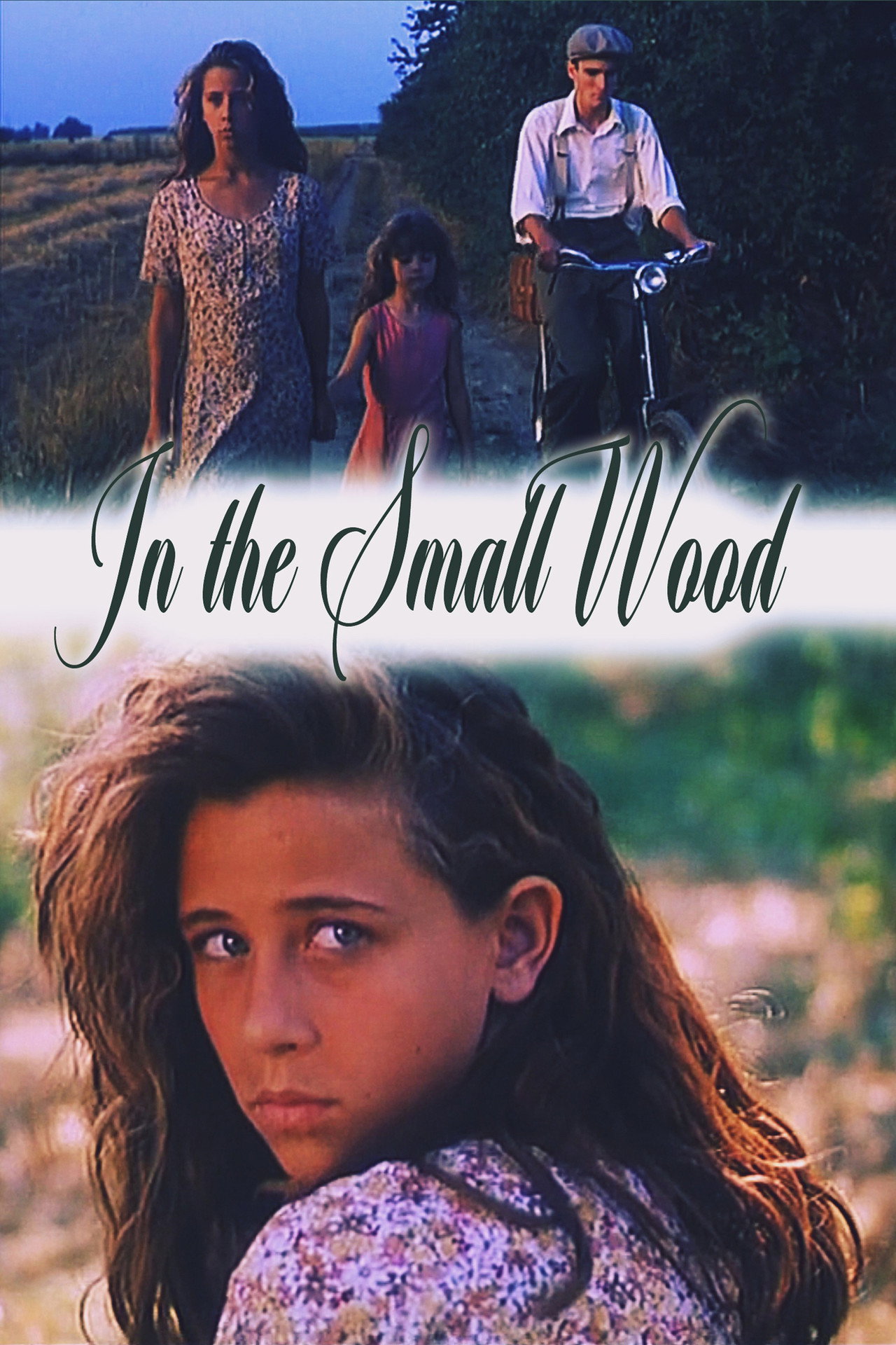 In the Small Wood