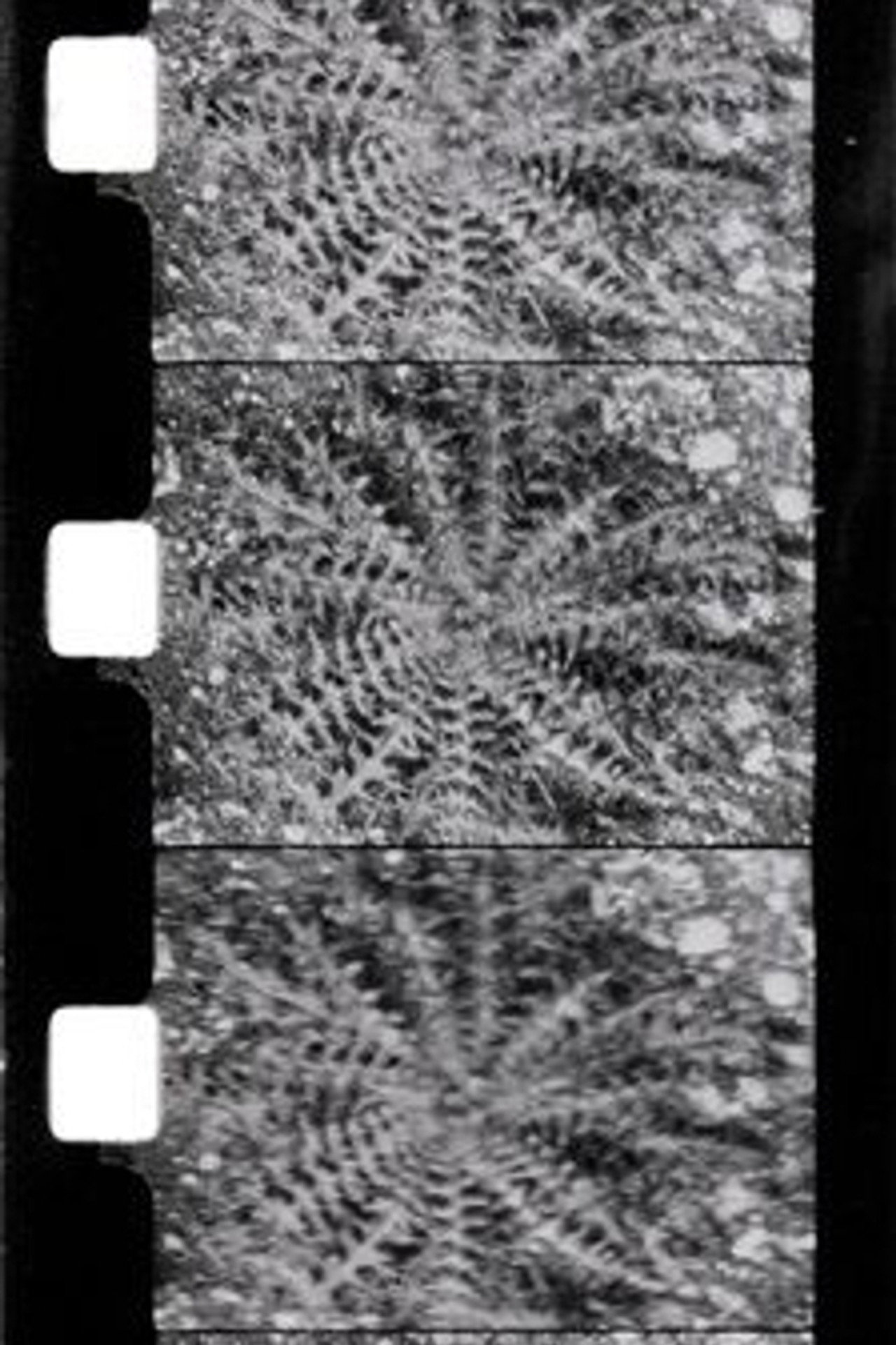 Le printemps Backdrop