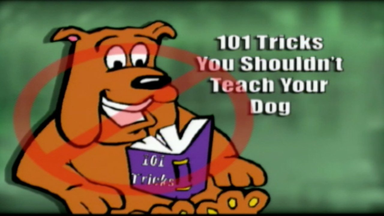 Funniest Pets & People backdrop