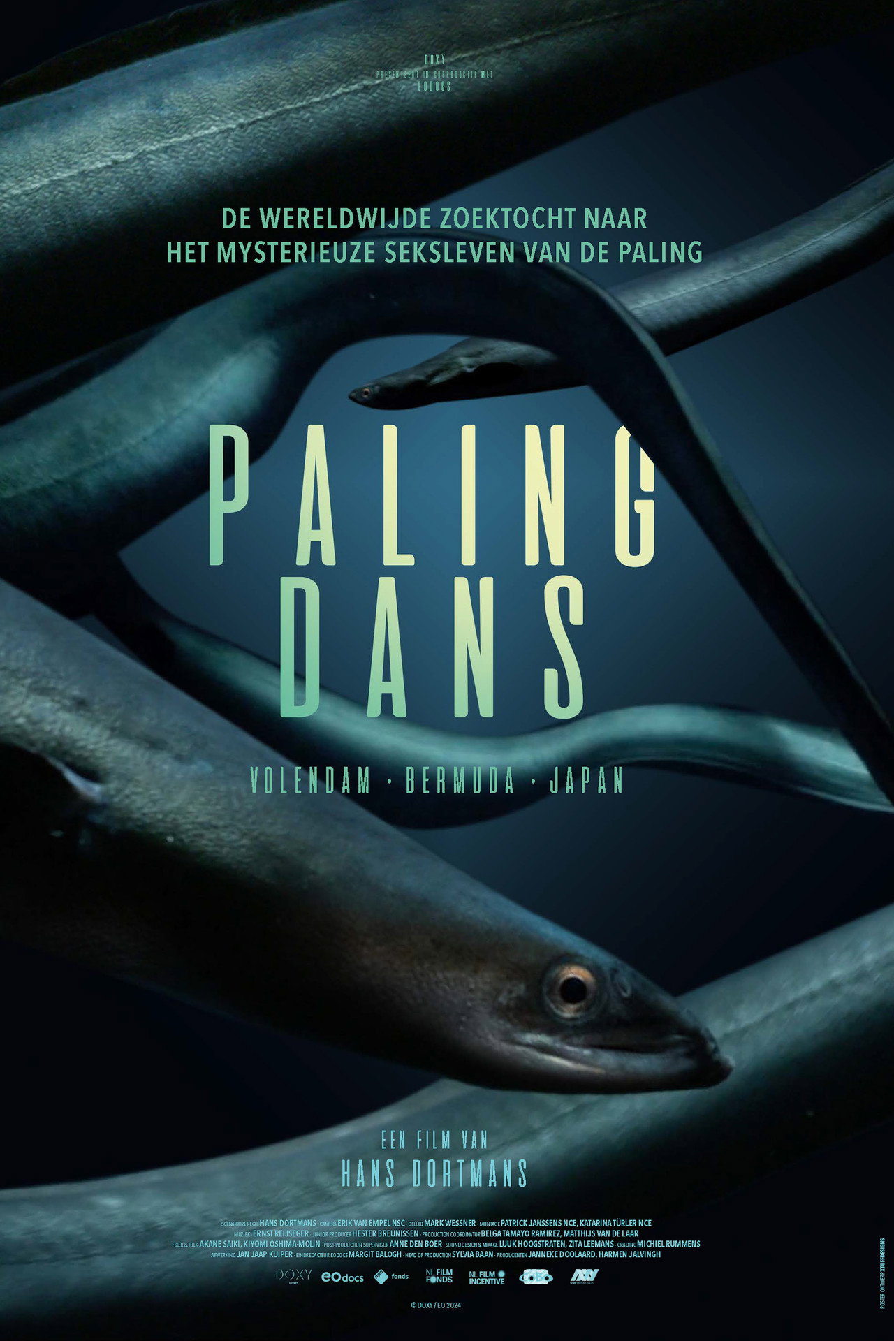 Hidden Dance of Eels