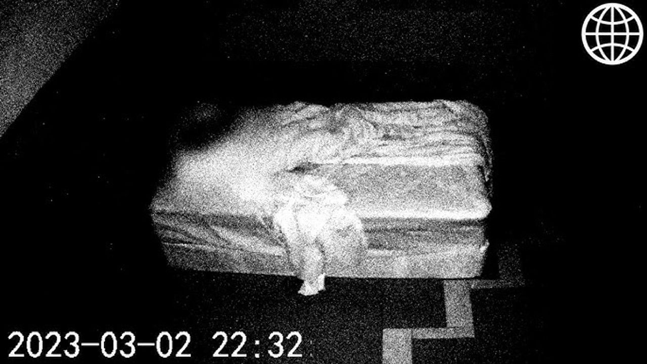 Findings — Anomalies du Web (Vol. 2)