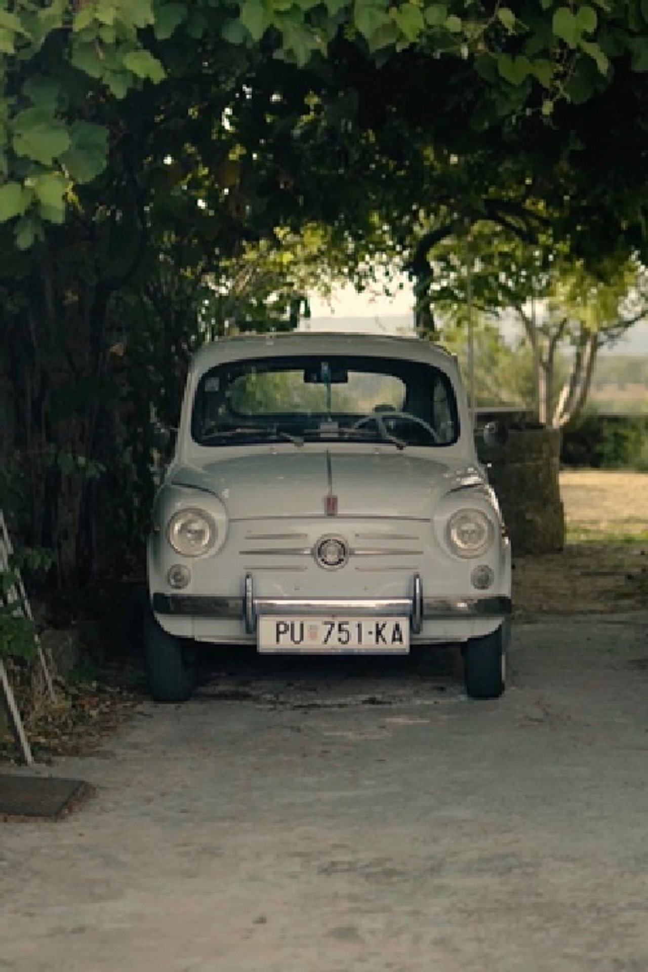 Kartoline: Momjan filmaffisch