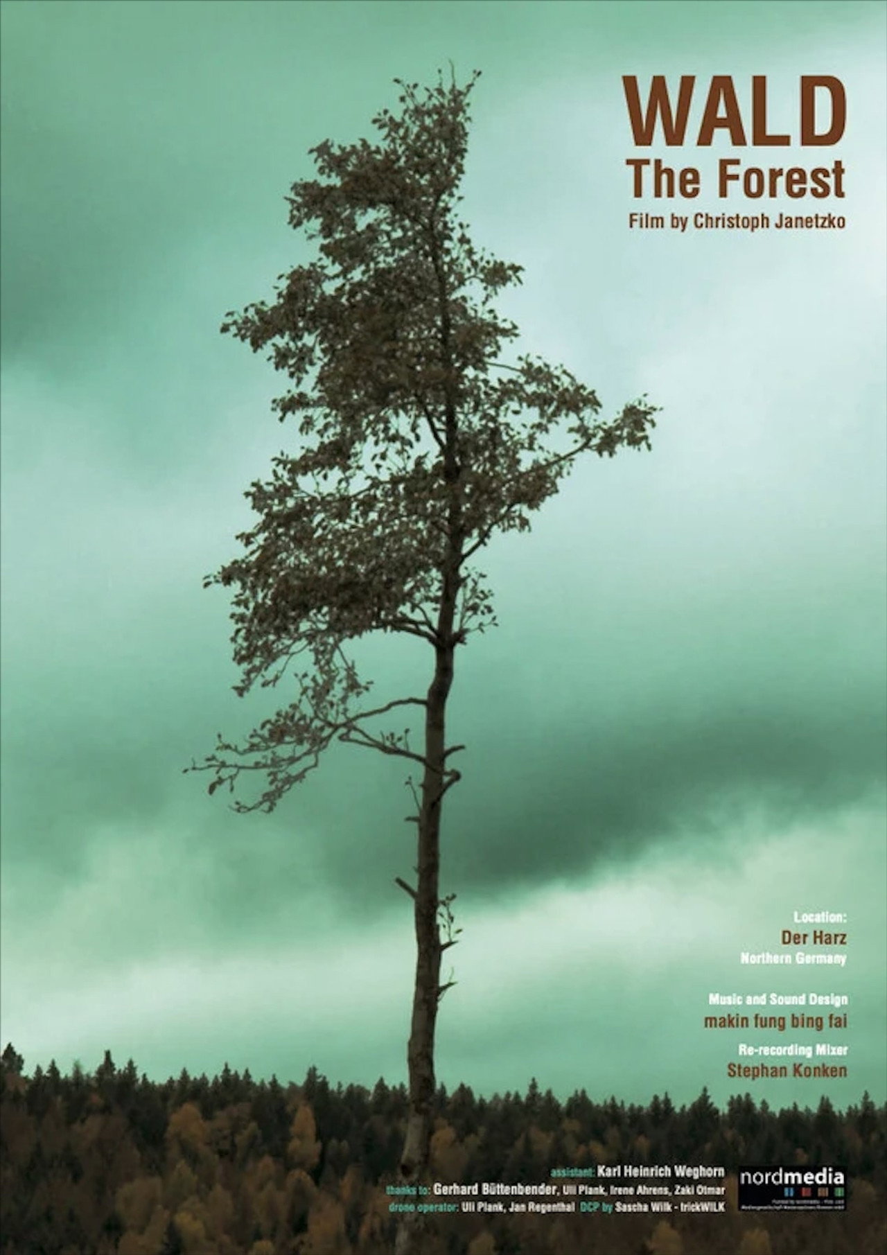 WALD - The Forest