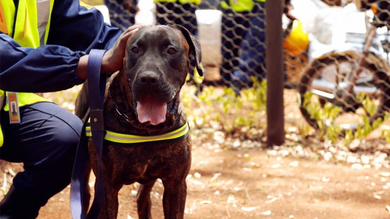 Haute sécurité — Épisode 10