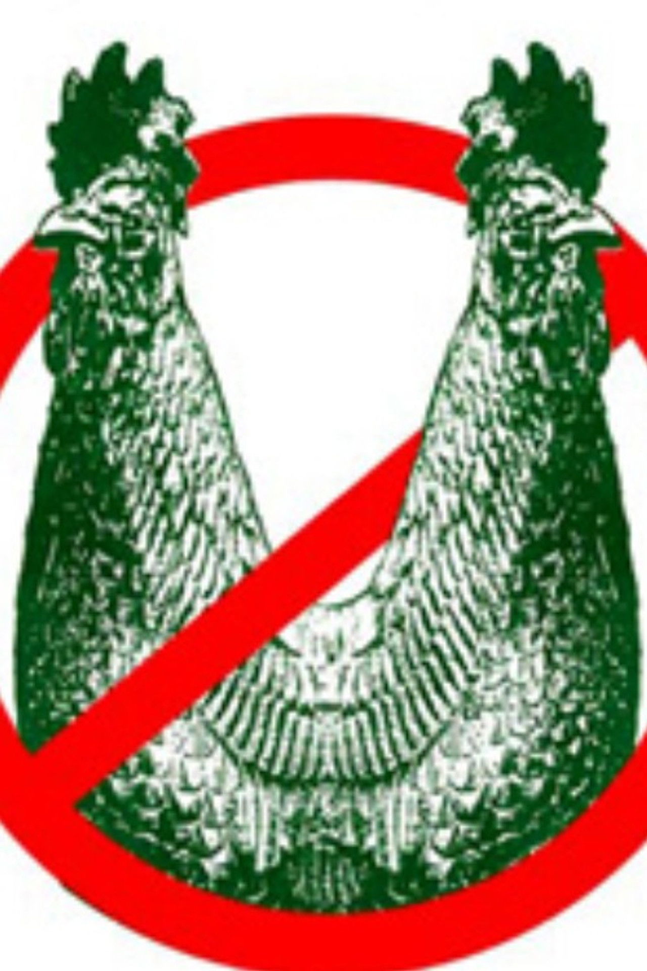 Joey Skaggs: Stop BioPEEP Backdrop