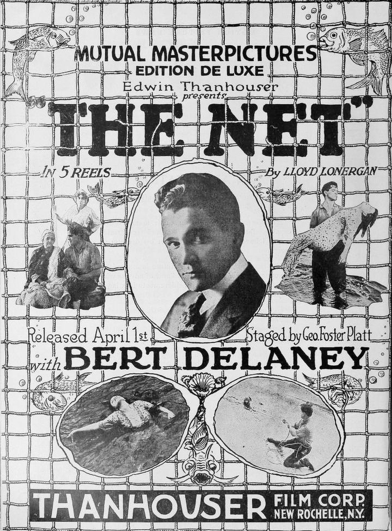 The Net The Net
