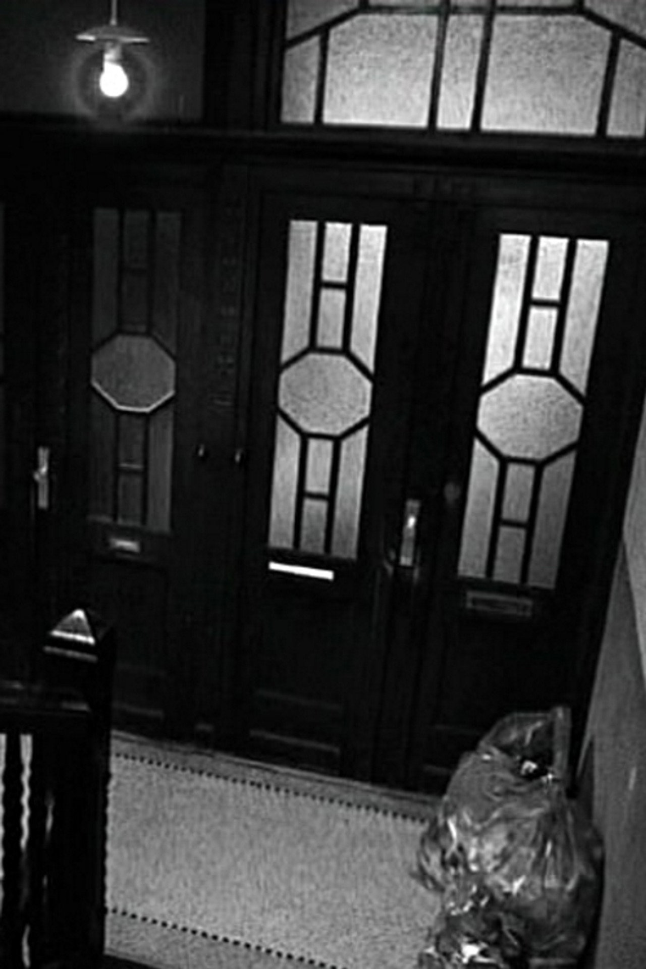 The Neighbor Backdrop