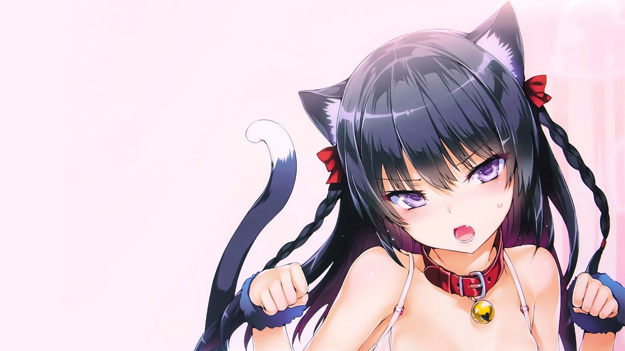Behind the scenes from Hybrid x Heart Magias Academy Ataraxia