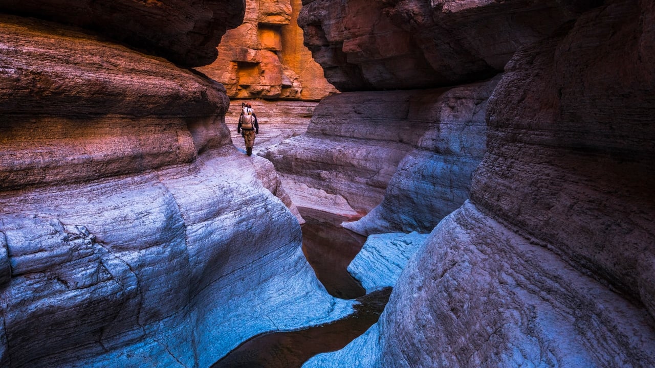 Into the Grand Canyon Backdrop Image