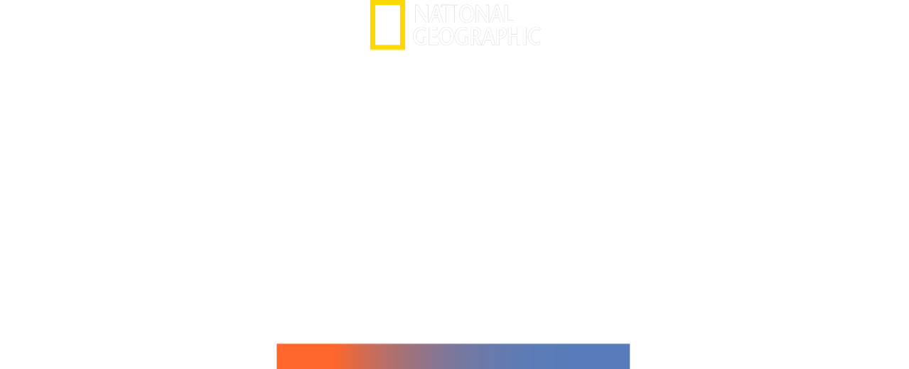 Mega Hammerhead