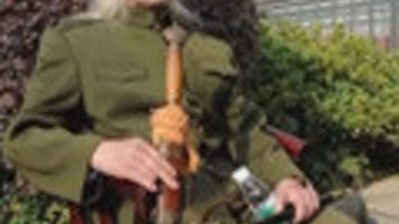 传奇故事 — Épisode 19