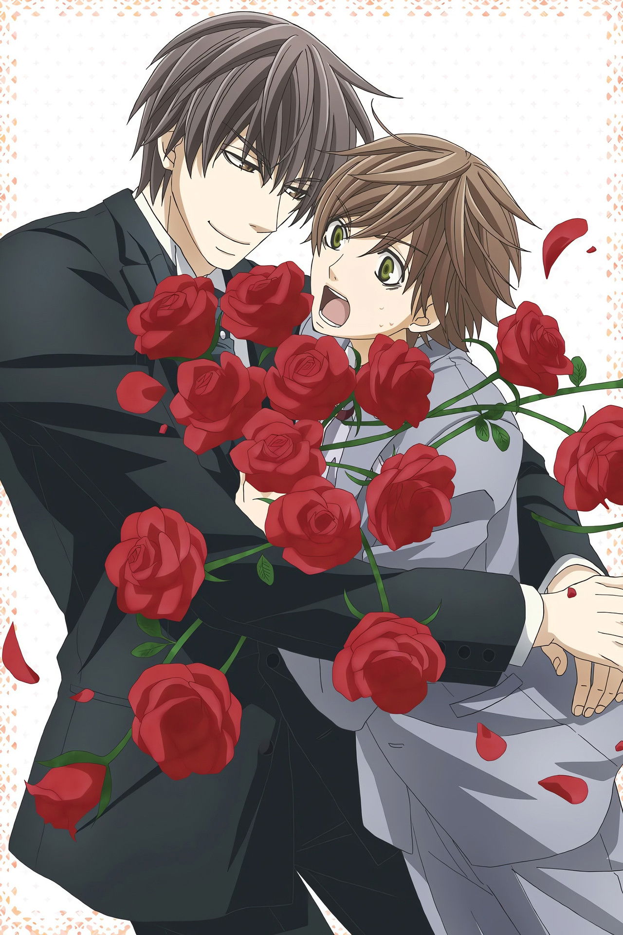 Sekaiichi Hatsukoi Collection