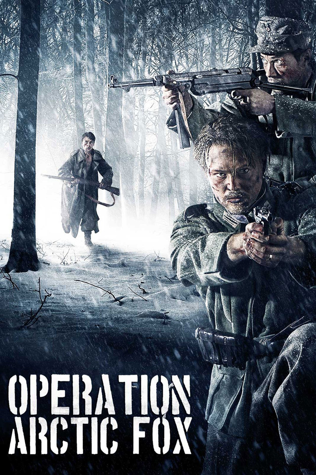 Opération Arctic Fox poster