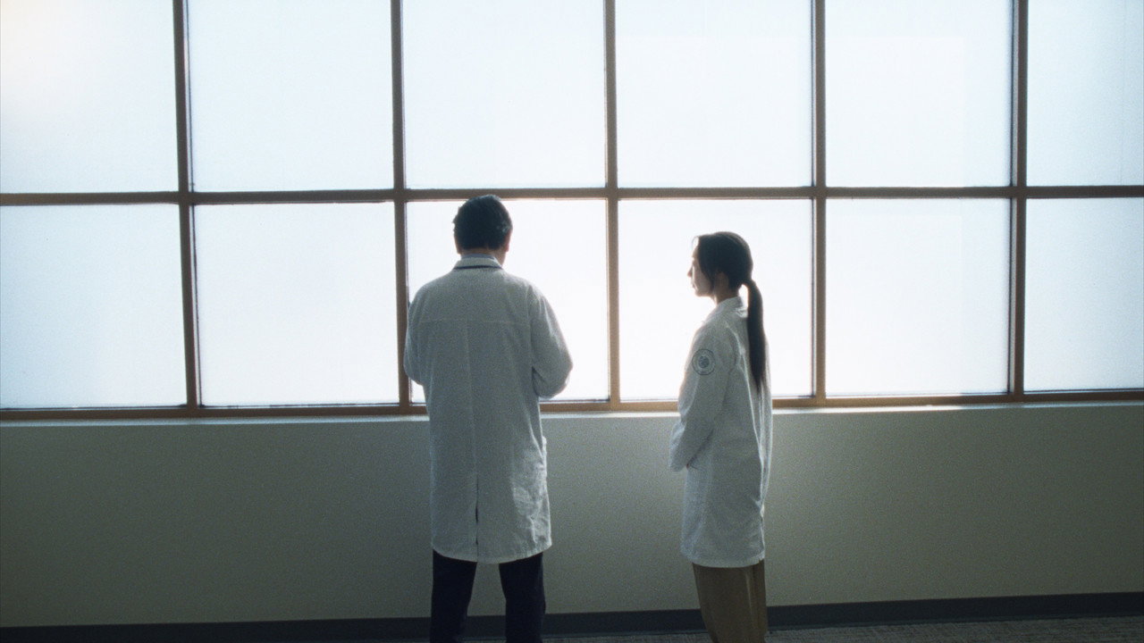 Stem still 10
