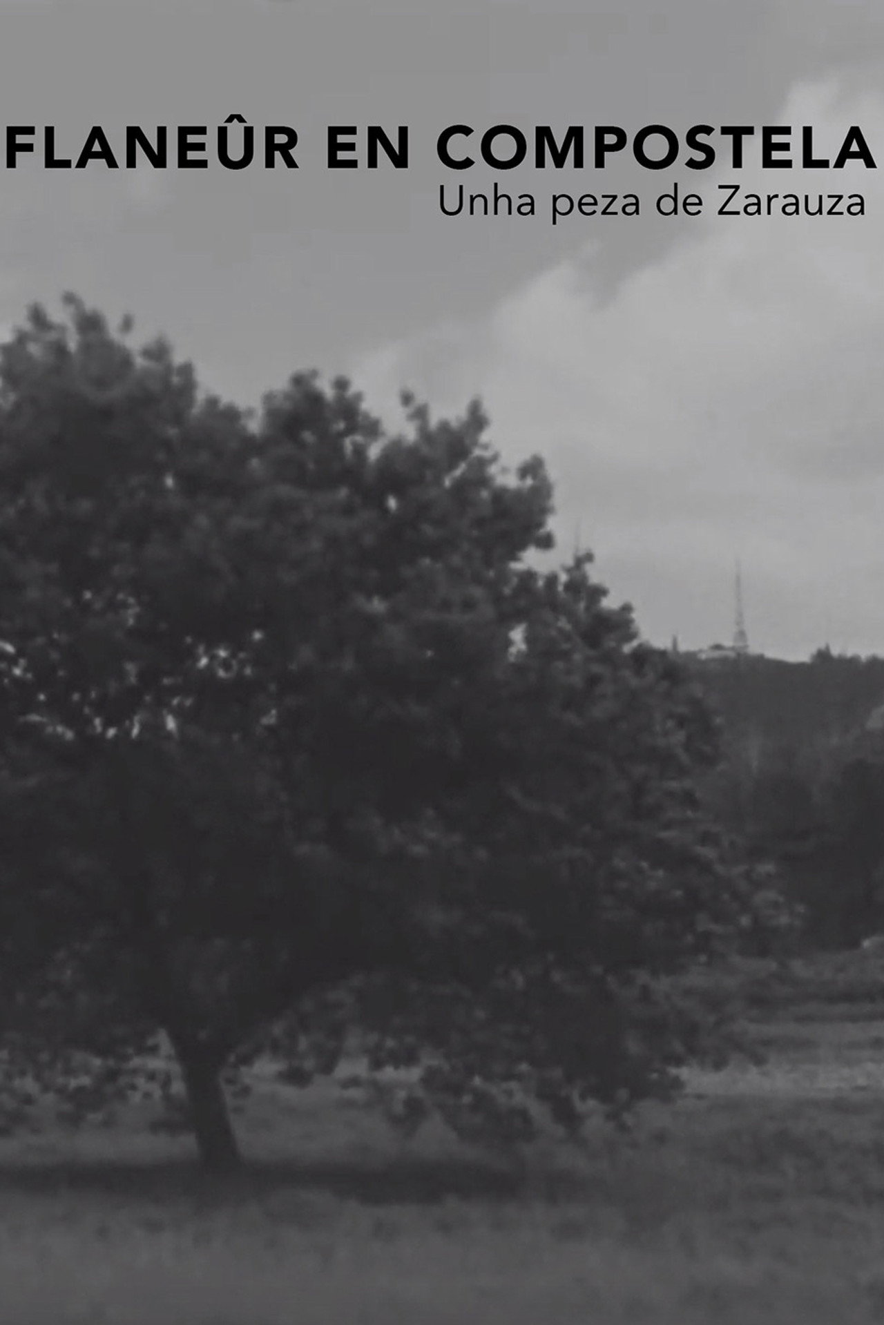 Flanêur en Compostela filmaffisch