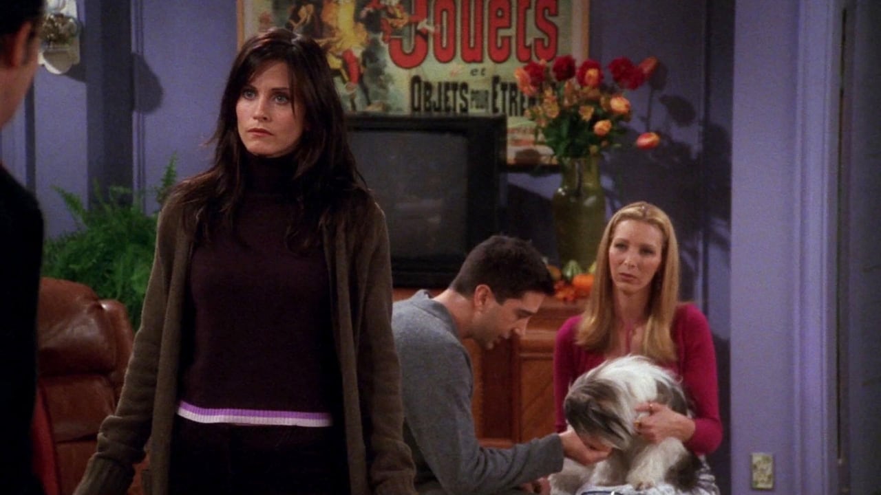 Friends - Season 7 Episode 8 : The One Where Chandler Doesn't Like Dogs
