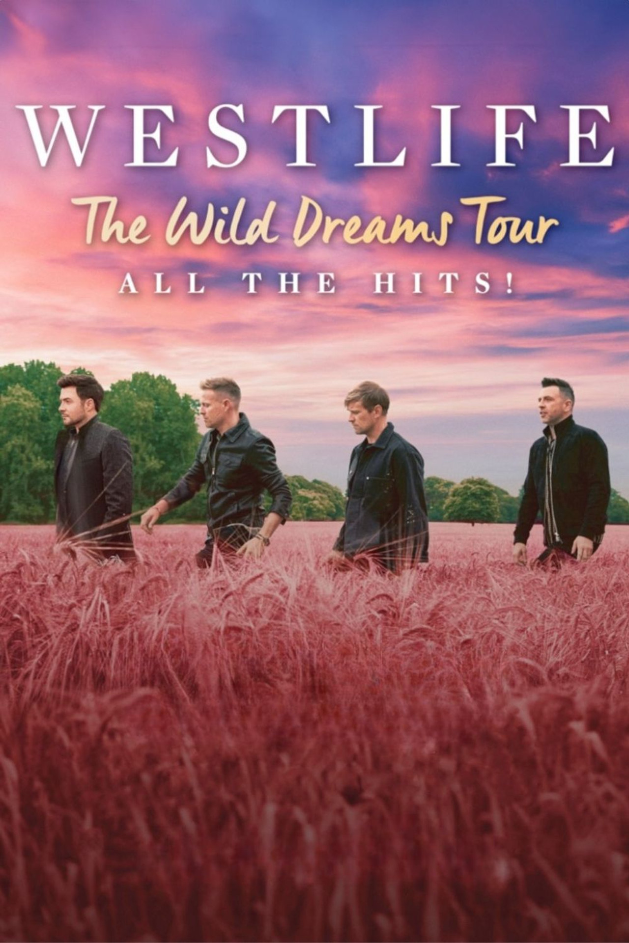 Westlife: The Wild Dreams Tour (Live at Wembley Stadium) filmaffisch