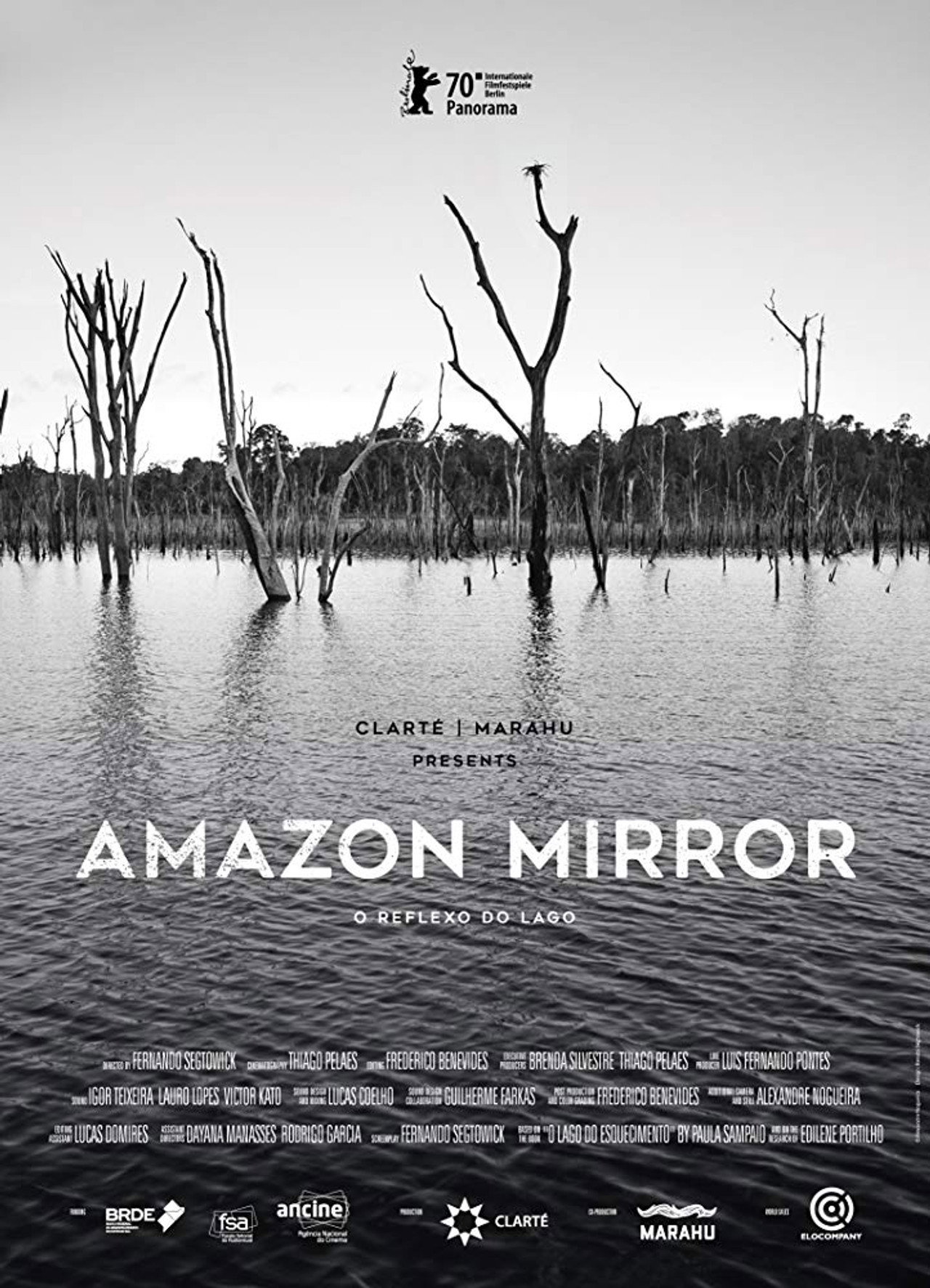 Amazon Mirror poster