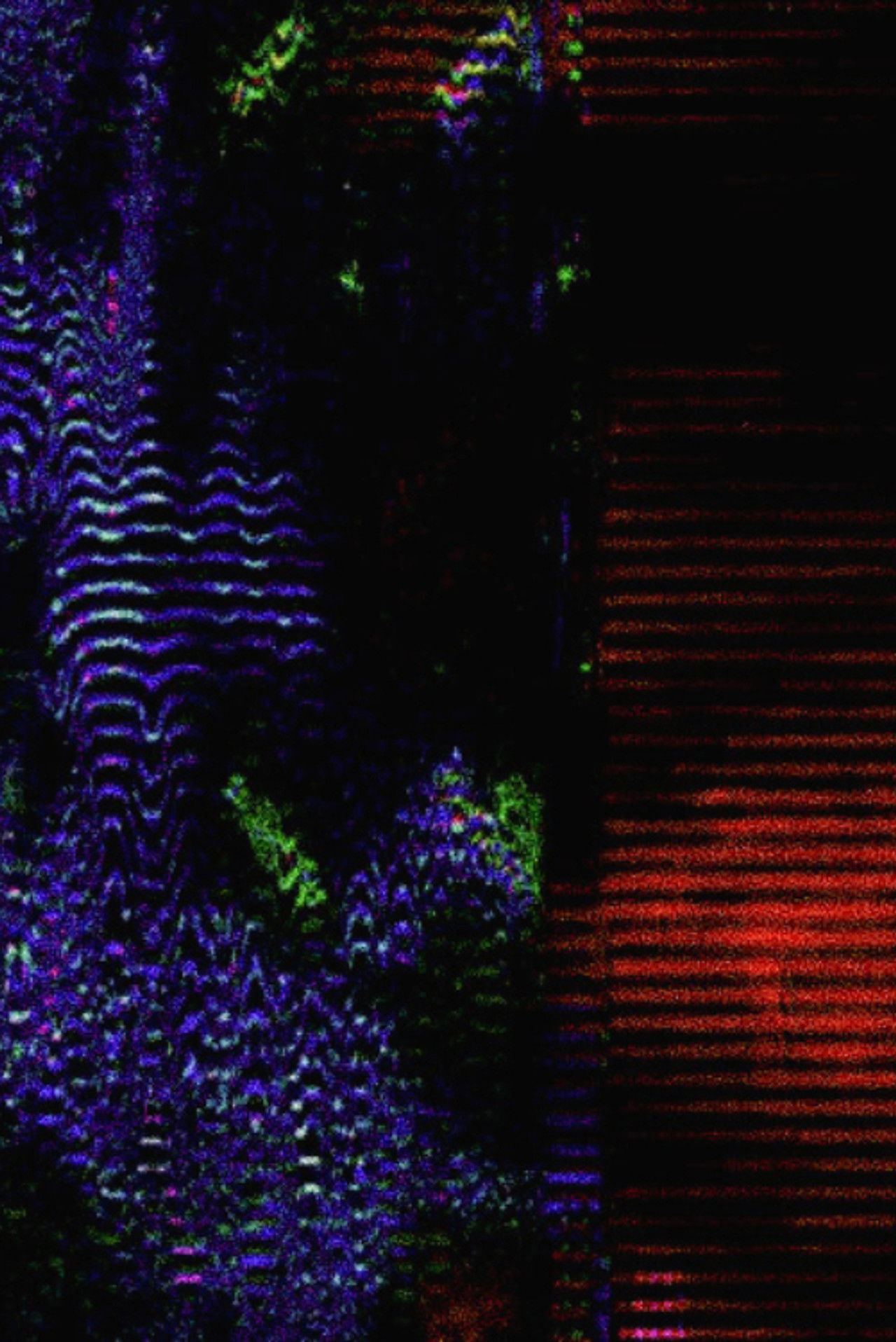 We Are Only Time Backdrop