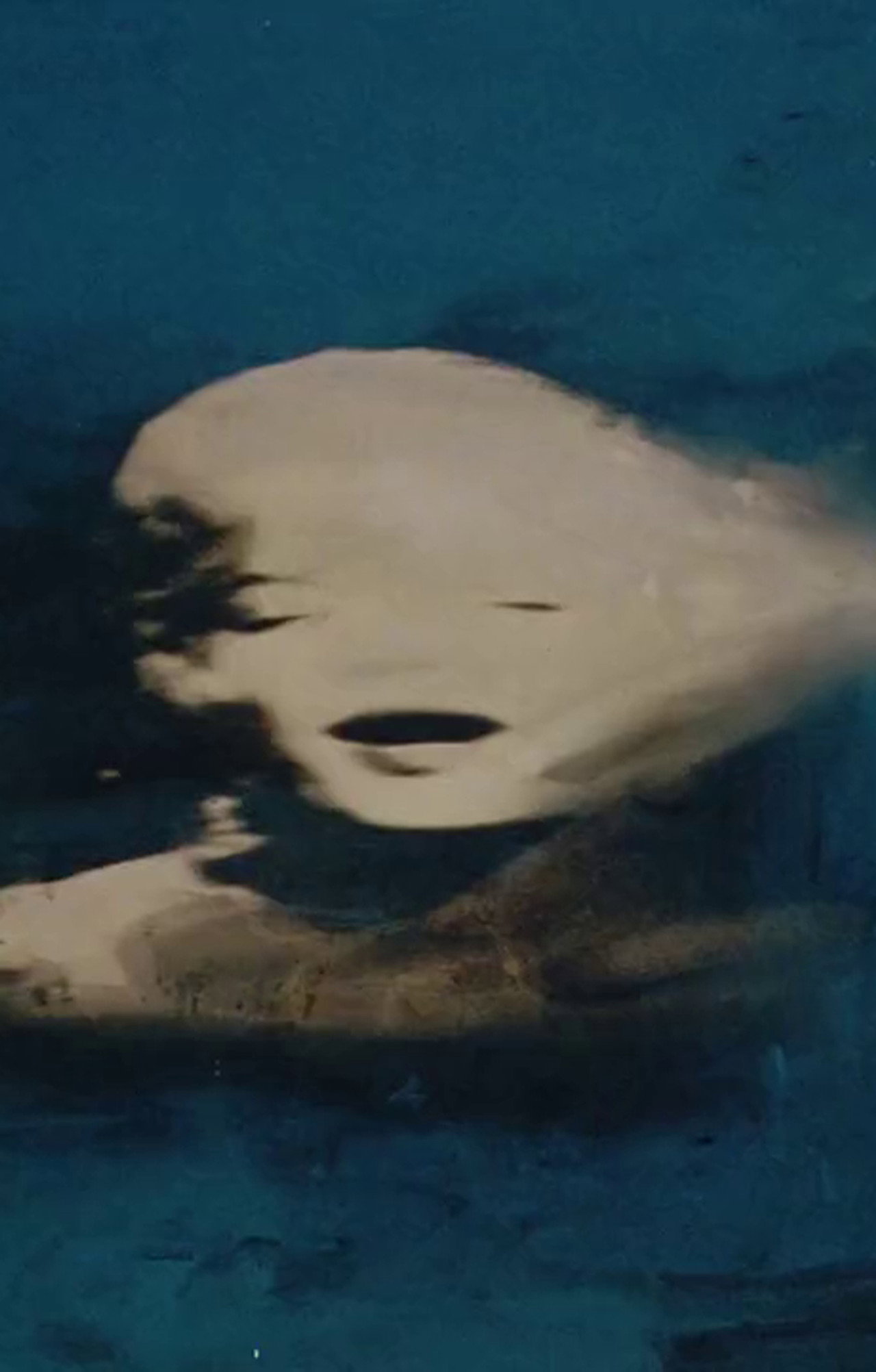 Biennale di Venezia 56° - Sigla filmaffisch