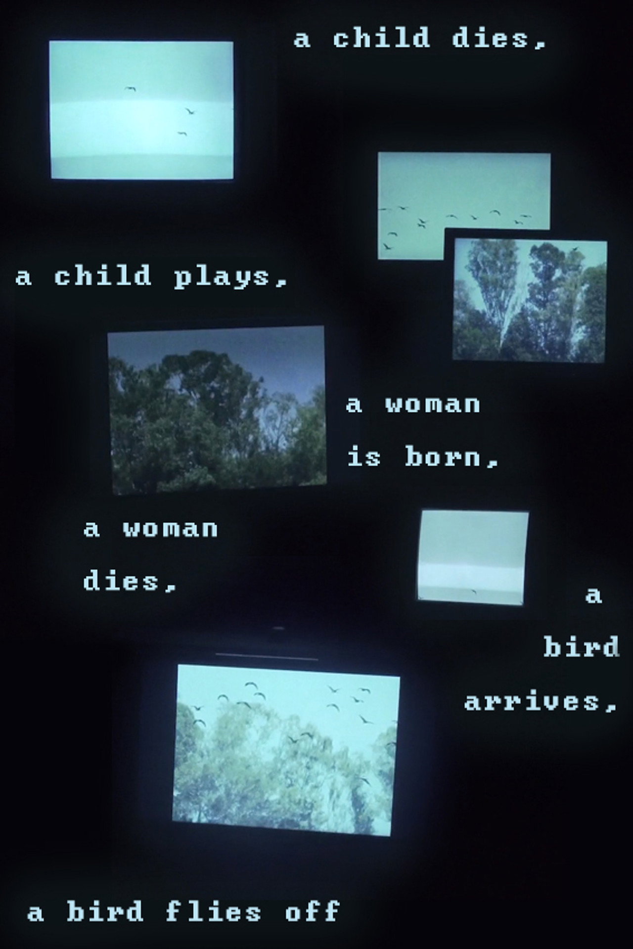 A child dies, a child plays, a woman is born, a woman dies, a bird arrives, a bird flies off filmaffisch