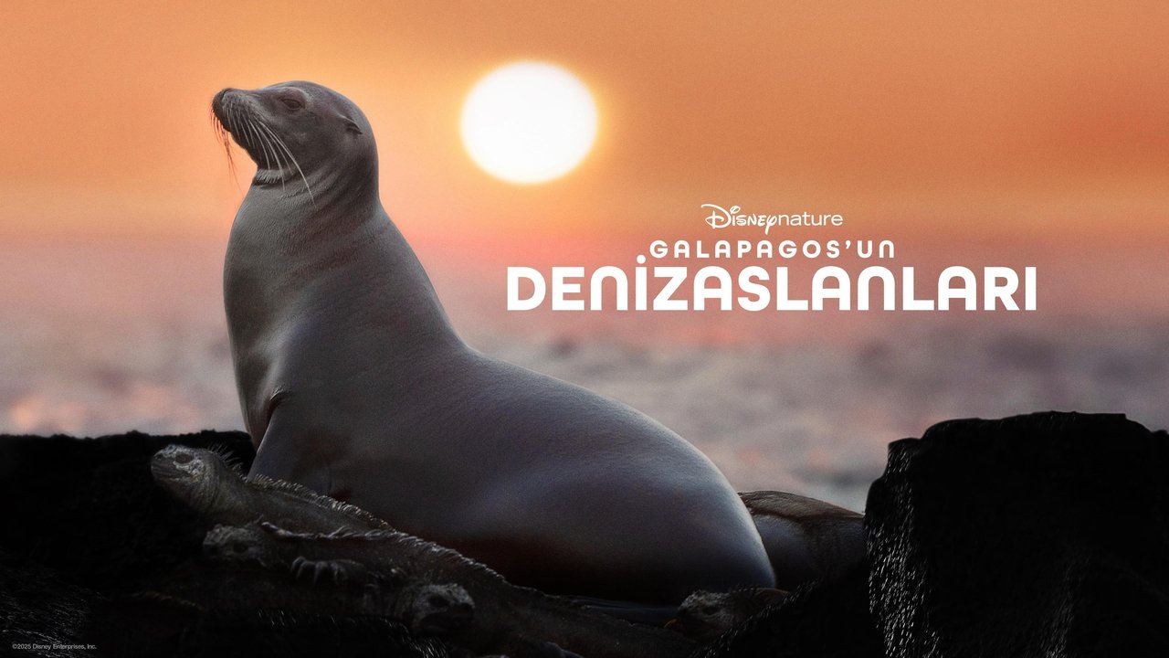 title image