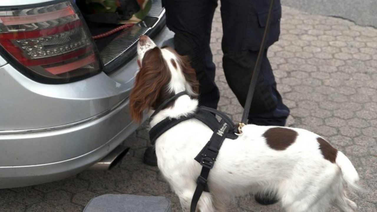 Border Control: Sweden - Season 4 Episode 14 : Sad start to the vacation