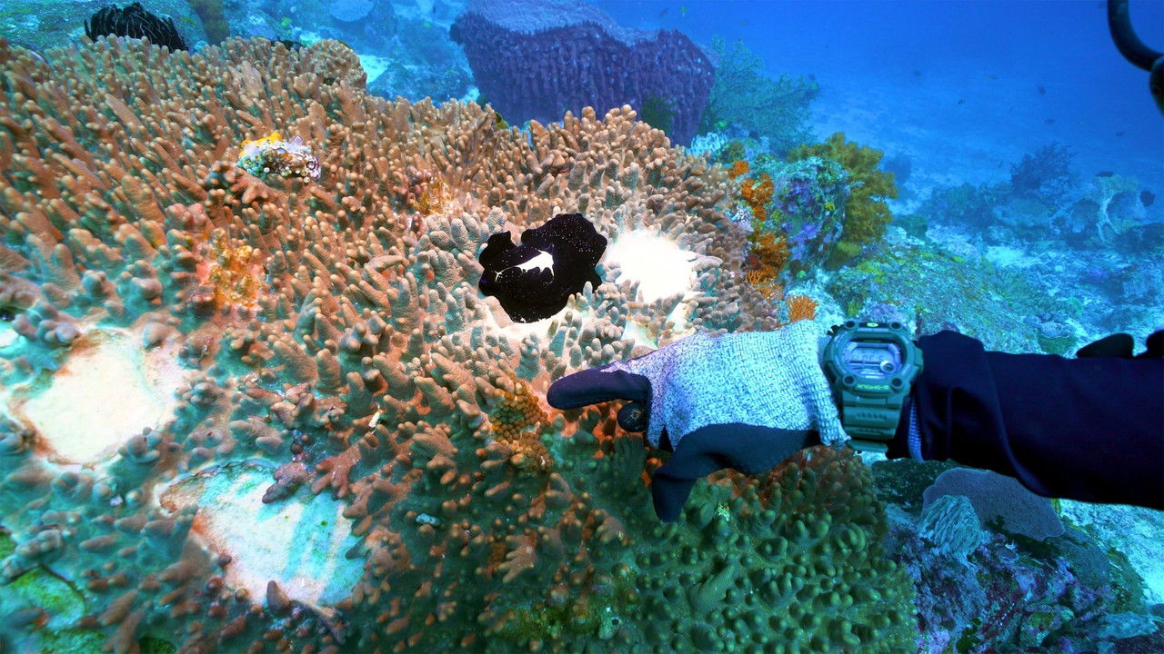 Africa's Deadly Kingdoms — Épisode 3