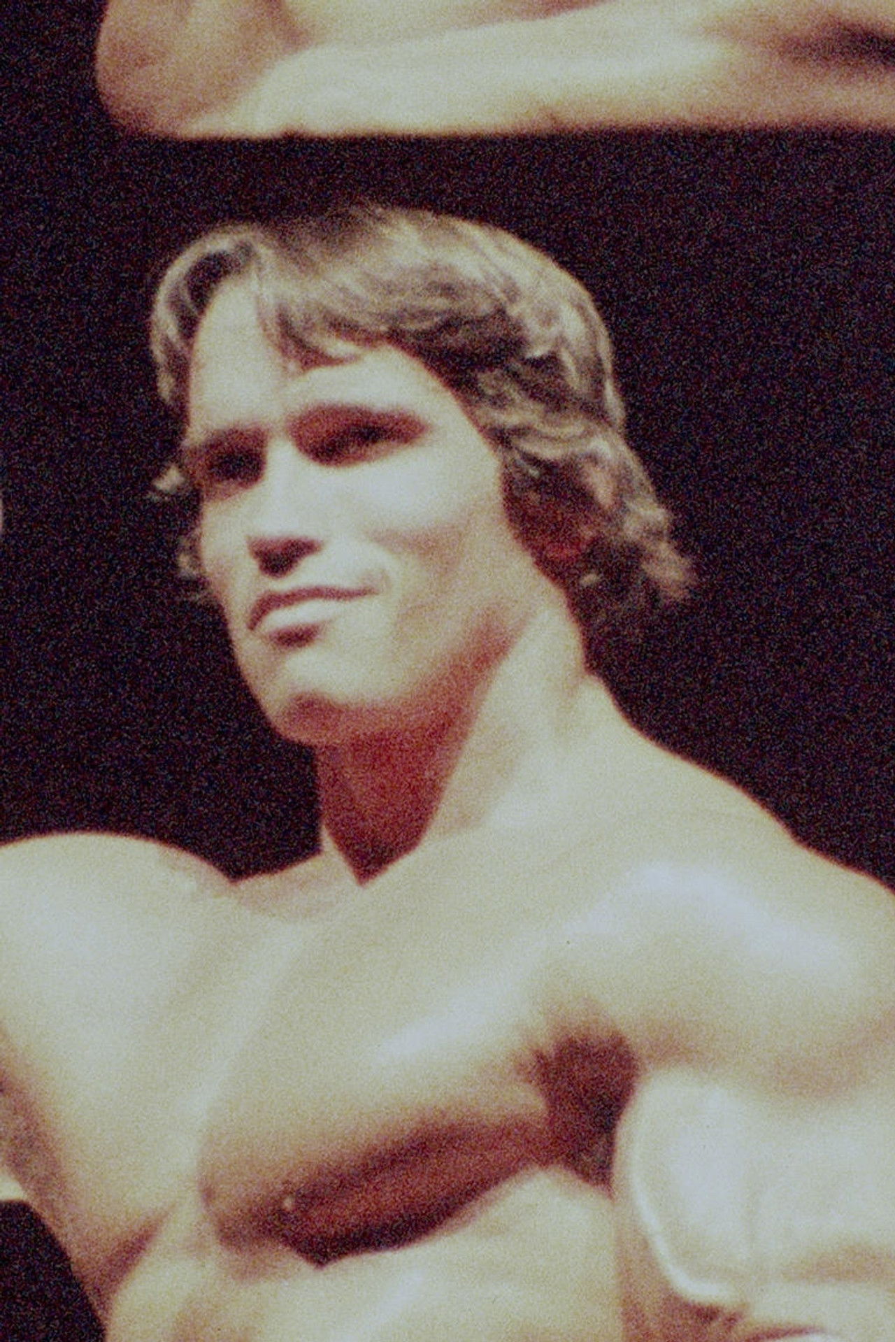 Arnold Schwarzenegger – The Art of Bodybuilding Backdrop