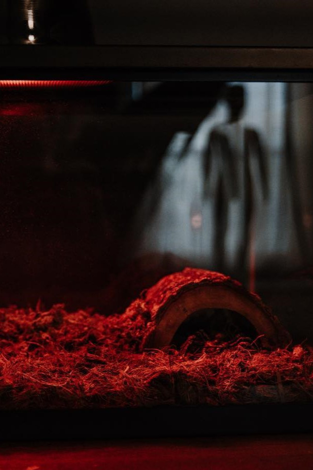 Morning Deliveries (Milkman #1) poster