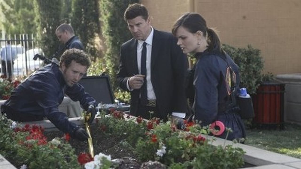 Bones - Season 6 Episode 20 : The Pinocchio in the Planter