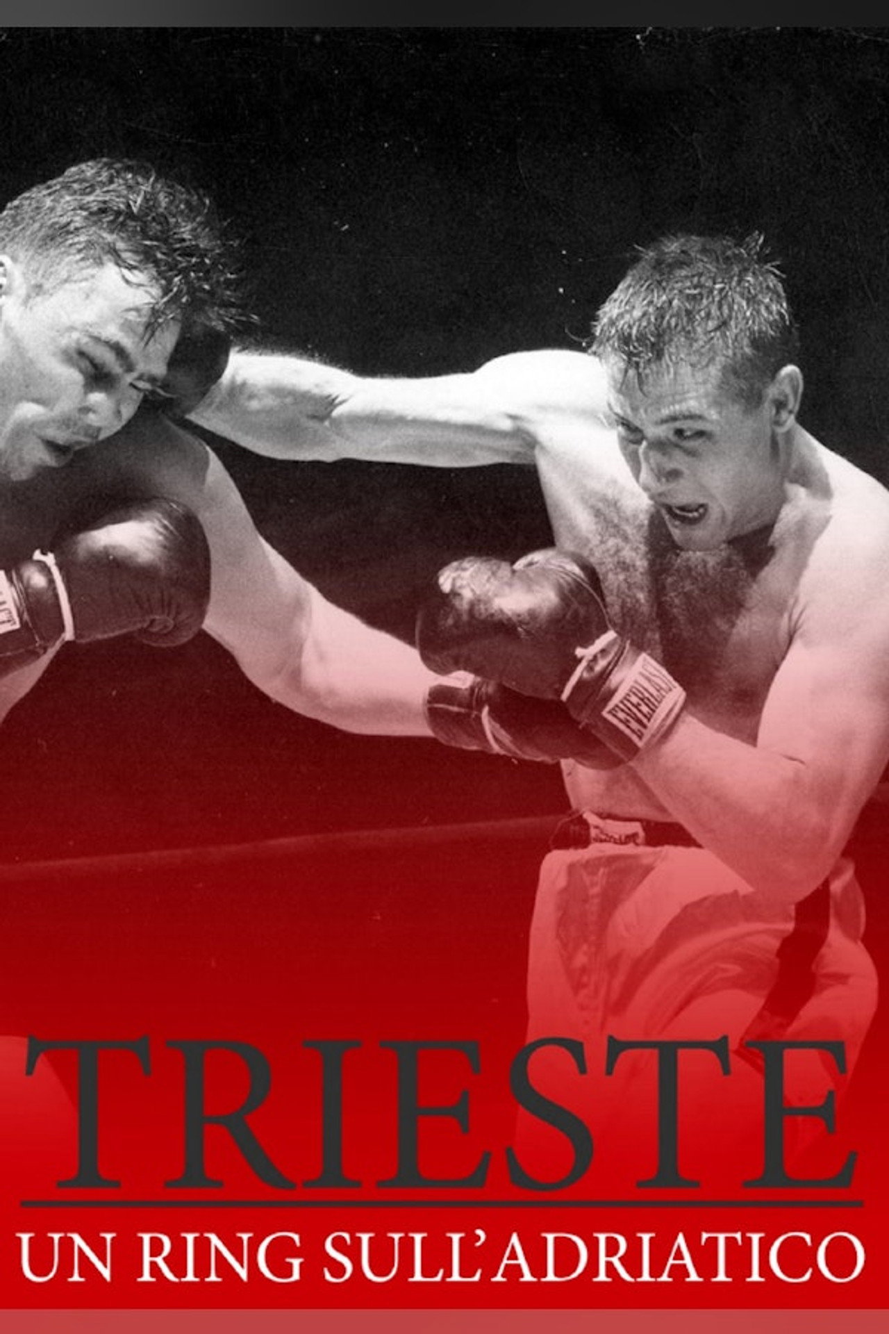 Trieste, Un ring sull'Adriatico filmaffisch