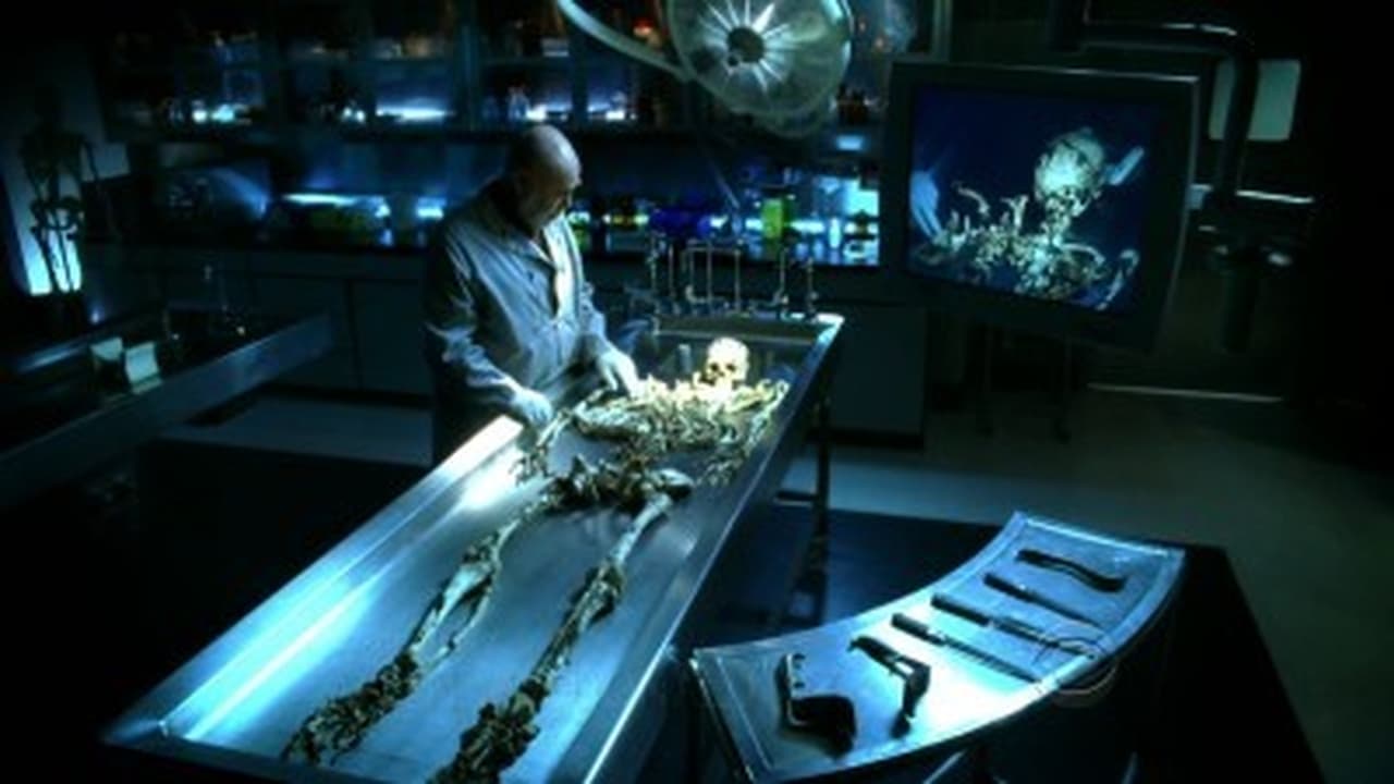 CSI: Crime Scene Investigation - Season 9 Episode 9 : CSI-19 down