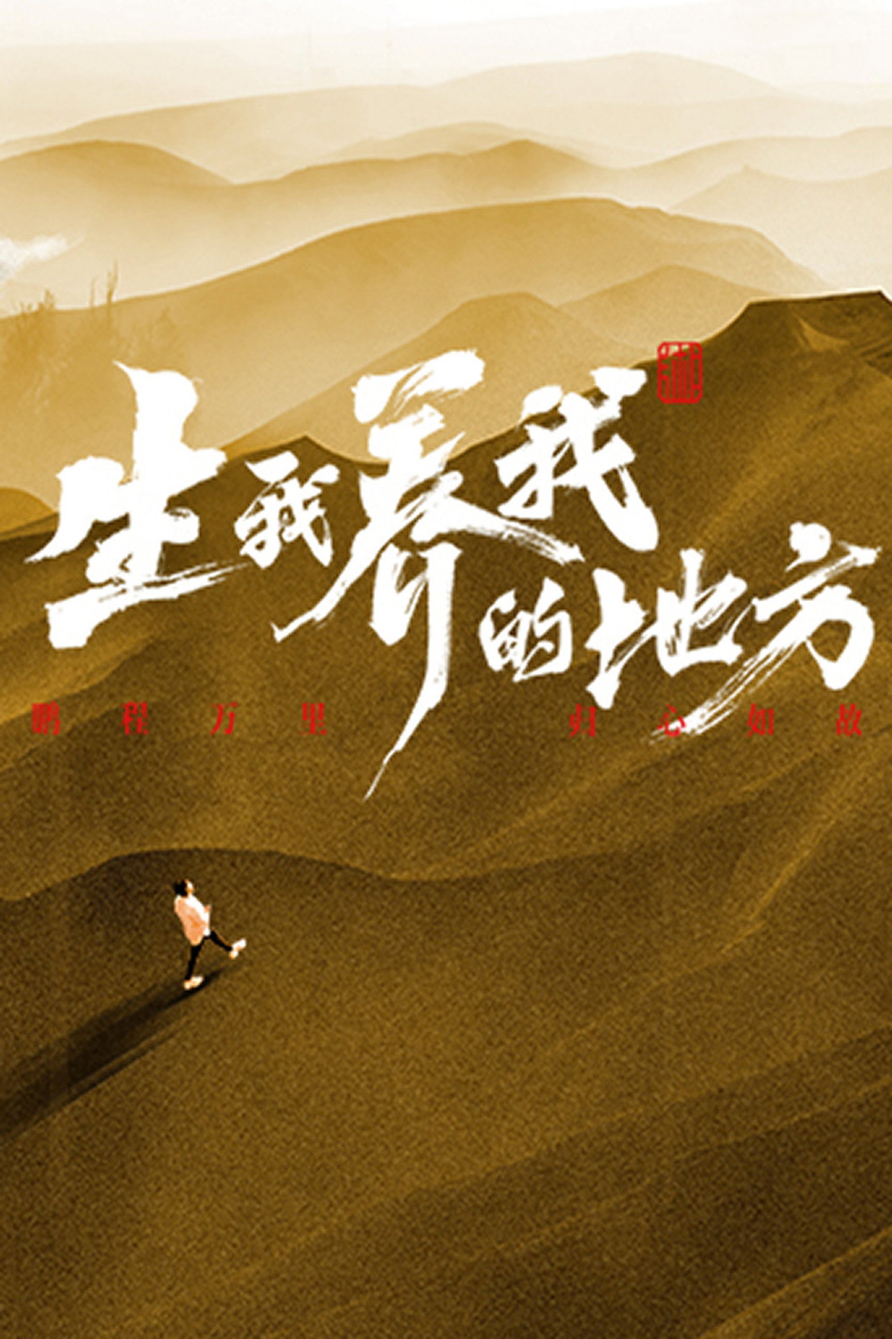 生我养我的地方 affisch