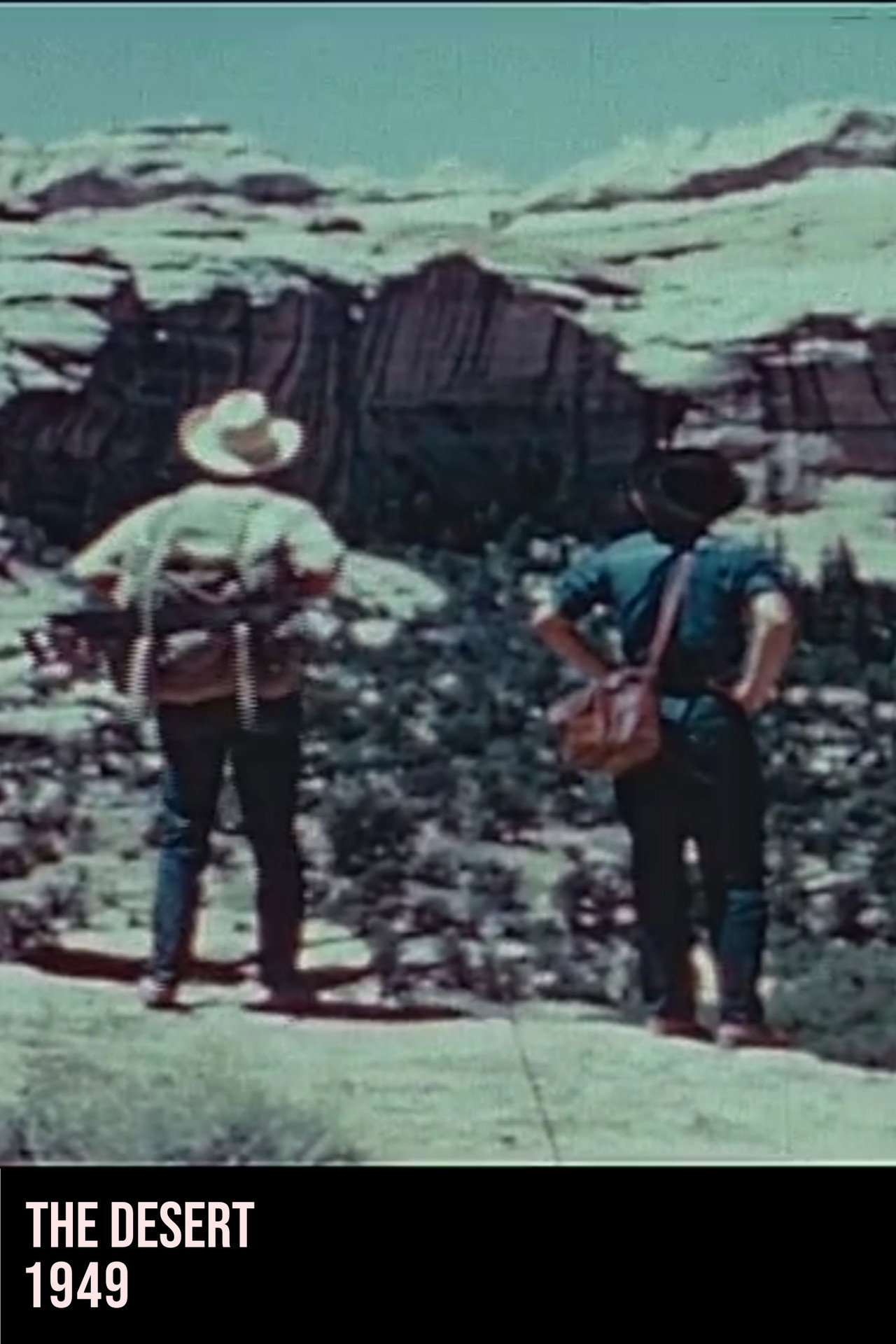 The Desert