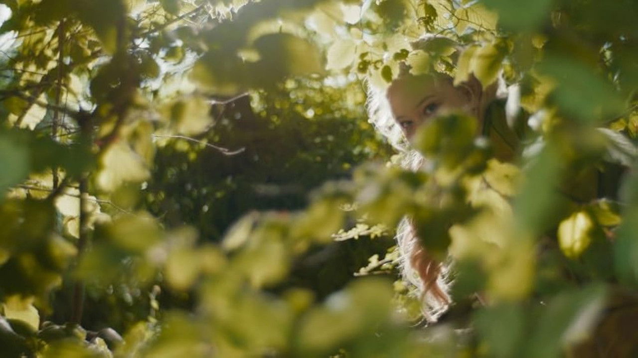 The Magic Faraway Tree