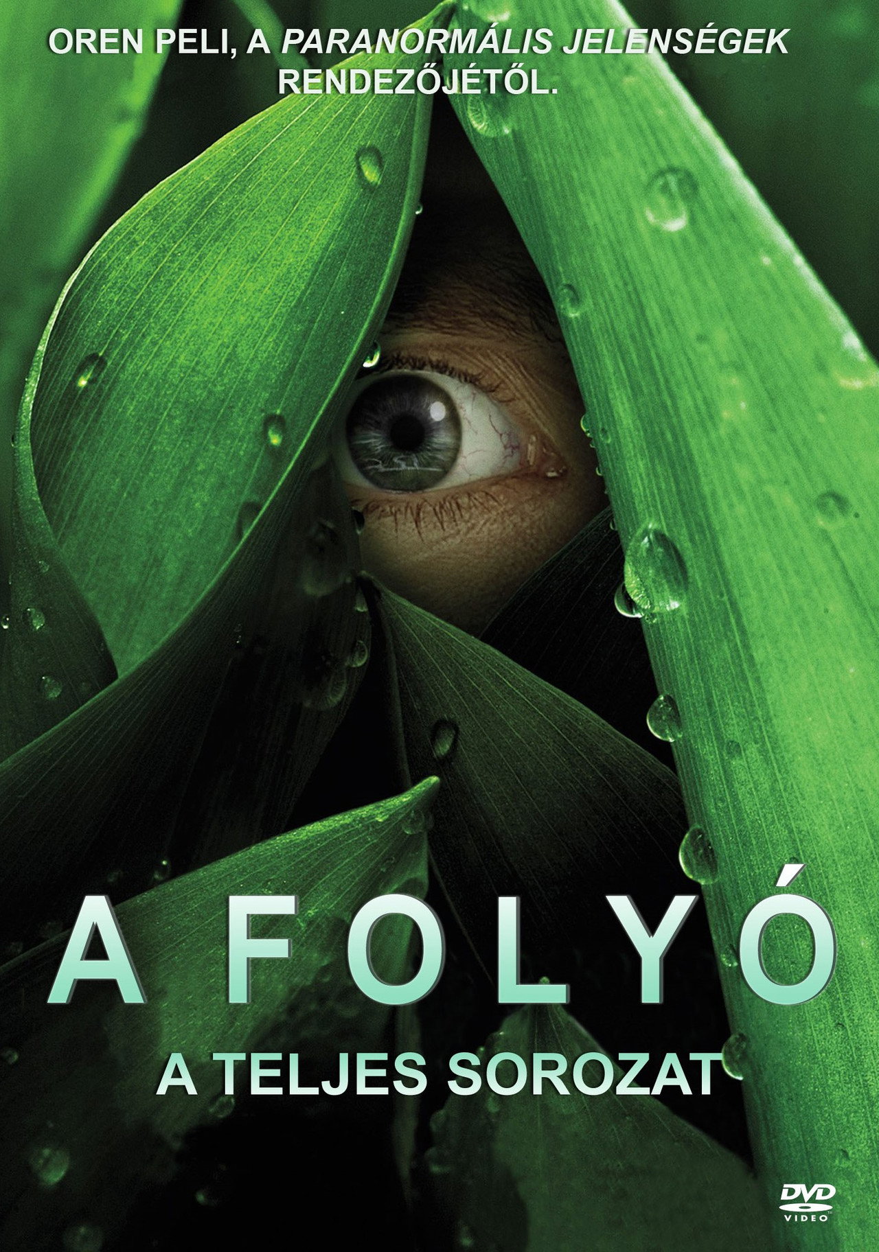 A folyó – plakát 5