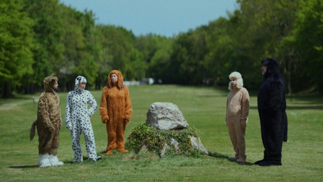 Canis familiaris — Épisode 3